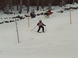 Hesselbach 2006